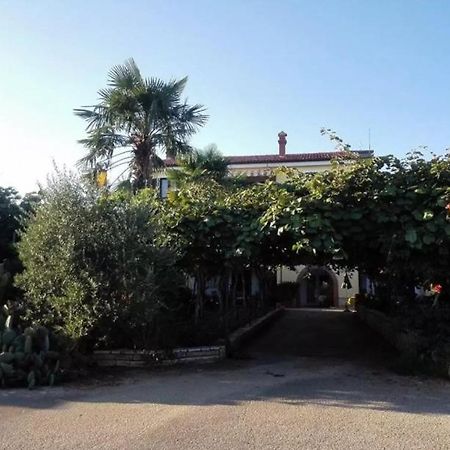 App Carla Apartment Novigrad  Exterior photo
