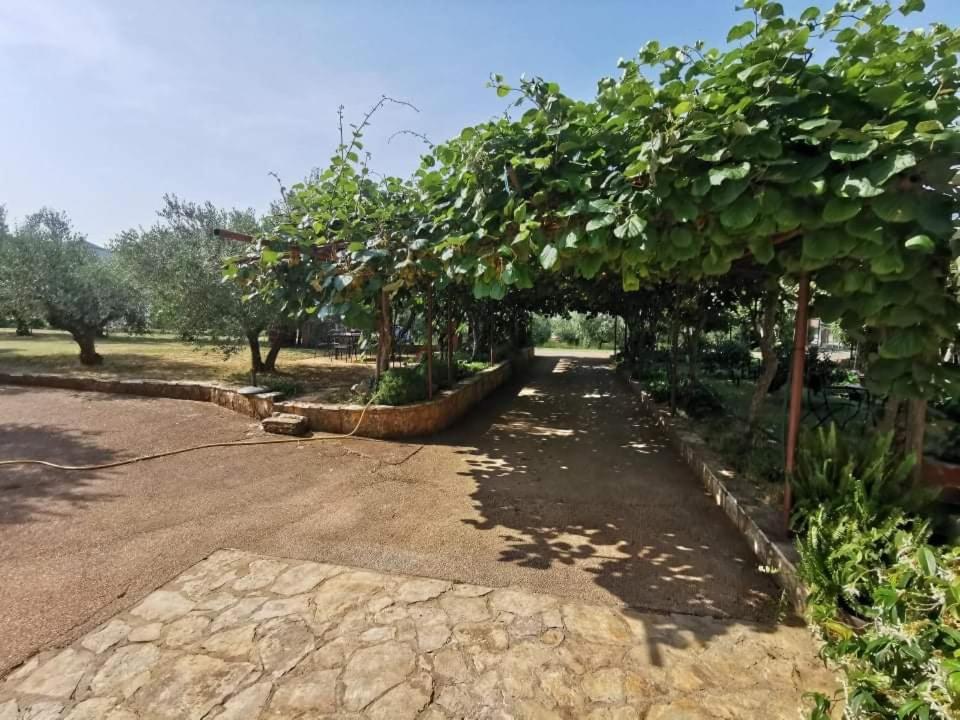 App Carla Apartment Novigrad  Exterior photo